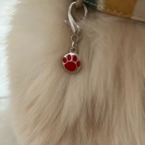🐾Pet collar charm